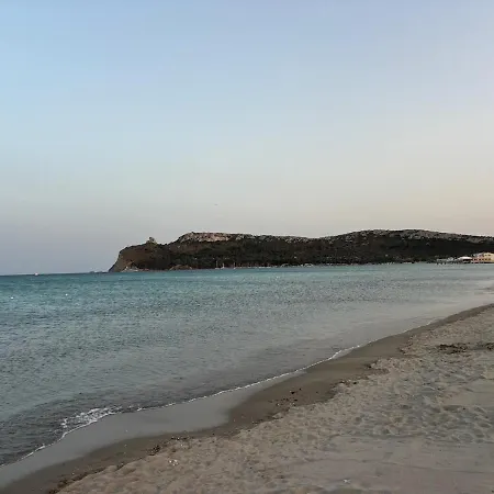 Apartment Luxory In Center