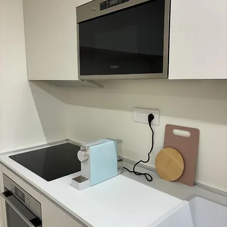 Luxory In Center Apartment